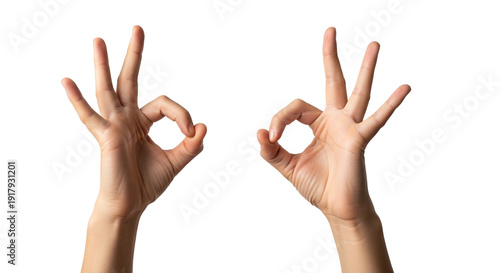 Two Human Hands Showing Okay Sign Gesture for Approval and Success