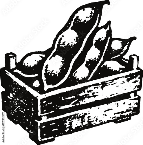 Wooden crate filled with fresh pea pods and round peas, rustic agricultural harvest concept