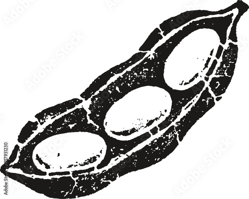 Vintage black and white illustration of a pea pod with three peas inside, botanical design