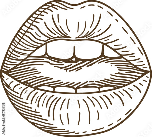 Close up sketch of open lips with visible teeth hand drawn female mouth outline and detailed texture illustration