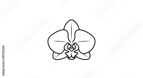 Orchid Flower Line Art Drawing Minimalist Black and White Icon