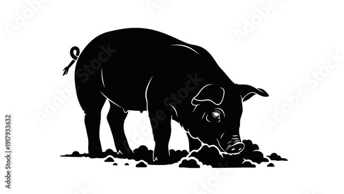  Original name(s): An Inquisitive Porcine Piglet Rooting Around in the German Countryside Soil. transparent.