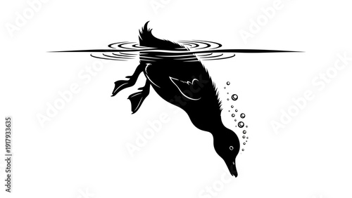 An Agile Anatidae Duckling Diving Under Water in a Serene Scandinavian Lake. transparent.