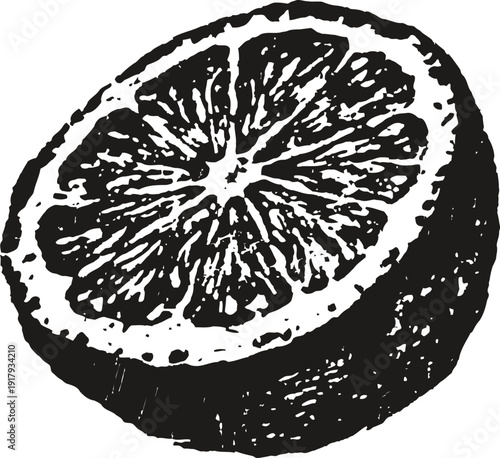 Detailed black and white illustration of a citrus fruit slice with textured rind and segments