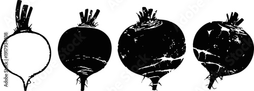 hand drawn beetroot illustrations black and white root vegetable sketches with rough texture vintage garden plant drawings