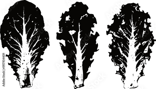 Three black and white silhouettes of lettuce leaves isolated on white background