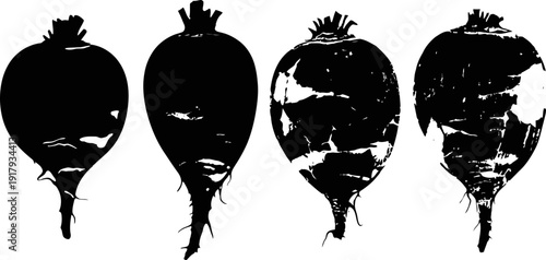 beetroot silhouettes set four different beetroot root vegetables isolated on white background natural healthy vegan food, organic garden harvest