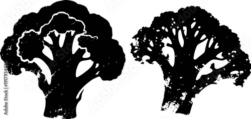 black silhouette broccoli vector set fresh vegetable illustration with rough textured healthy food icon design
