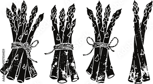 bunches of asparagus bundles tied with string, hand drawn rustic vegetable illustrations set