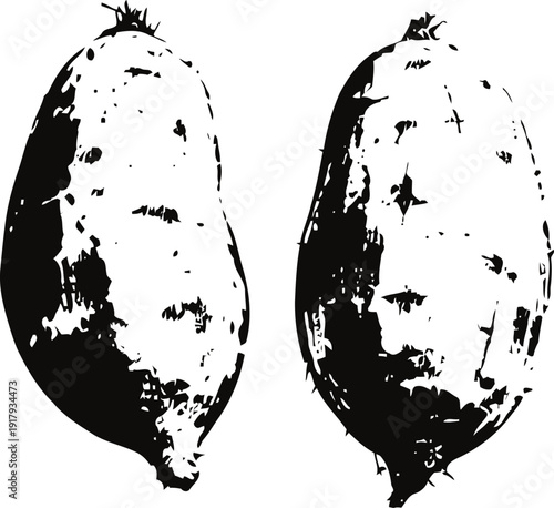 Hand drawn sweet potatoes illustration, vintage root vegetables black and white sketch