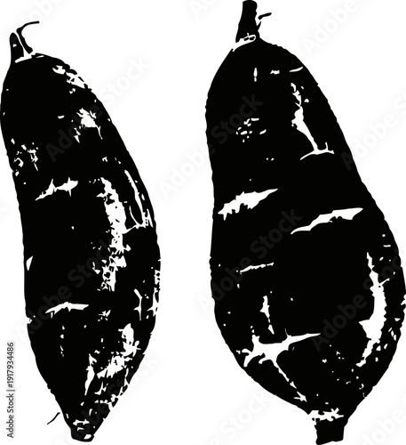 black silhouette of two cocoa pods isolated on white background tropical fruit natural raw organic ingredient concept