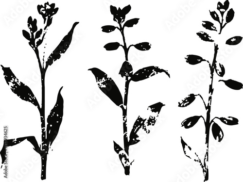 black ink floral silhouette set with three different leafy plant branches in simple grunge