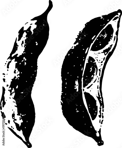 Black and white silhouette of pea pods with seeds inside, botanical legume illustration