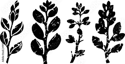Four black silhouette floral branches with rounded leaves isolated on white background