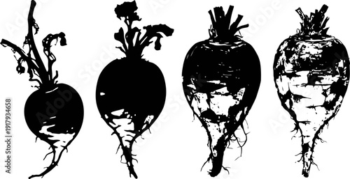four black and white beetroot silhouettes, diverse root shapes with leafy tops, minimalist vegetable design