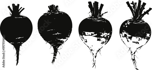 Black and white beets silhouette set root vegetable, healthy food, organic garden harvest, nature illustration
