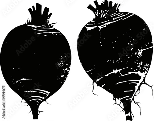 Silhouette of two beetroots with roots and leaves, vector illustration of fresh vegetables