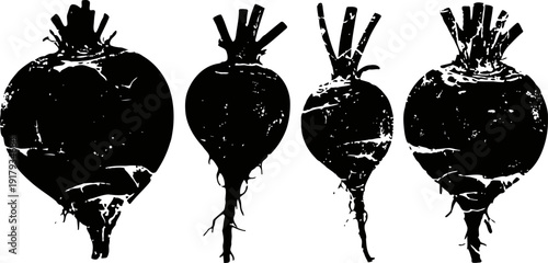 black and white beetroot silhouettes vintage vegetable root crop set rustic garden harvest illustration