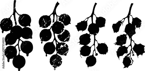black silhouette of grape clusters with leaves in various styles on white background