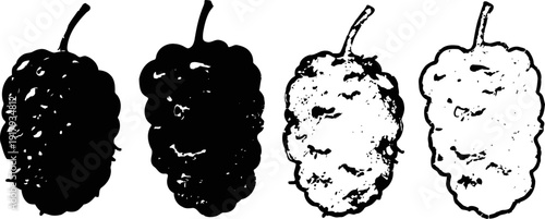mulberry silhouettes in black and white four illustrations showing different styles of mulberry fruit shapes