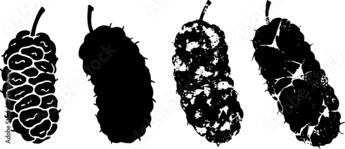 Mulberry fruit silhouettes and textured shapes in black and white, natural berry illustration set