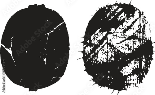 two cracked and weathered stone textures with rough and spiked surfaces isolated on white