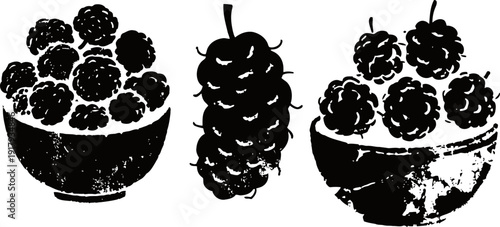 Hand drawn blackberry and mulberry illustrations set of ink sketch raspberry and berry in bowl vintage fruit design