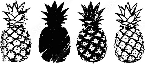 black and white pineapple illustrations with textured style, tropical fruit art collection