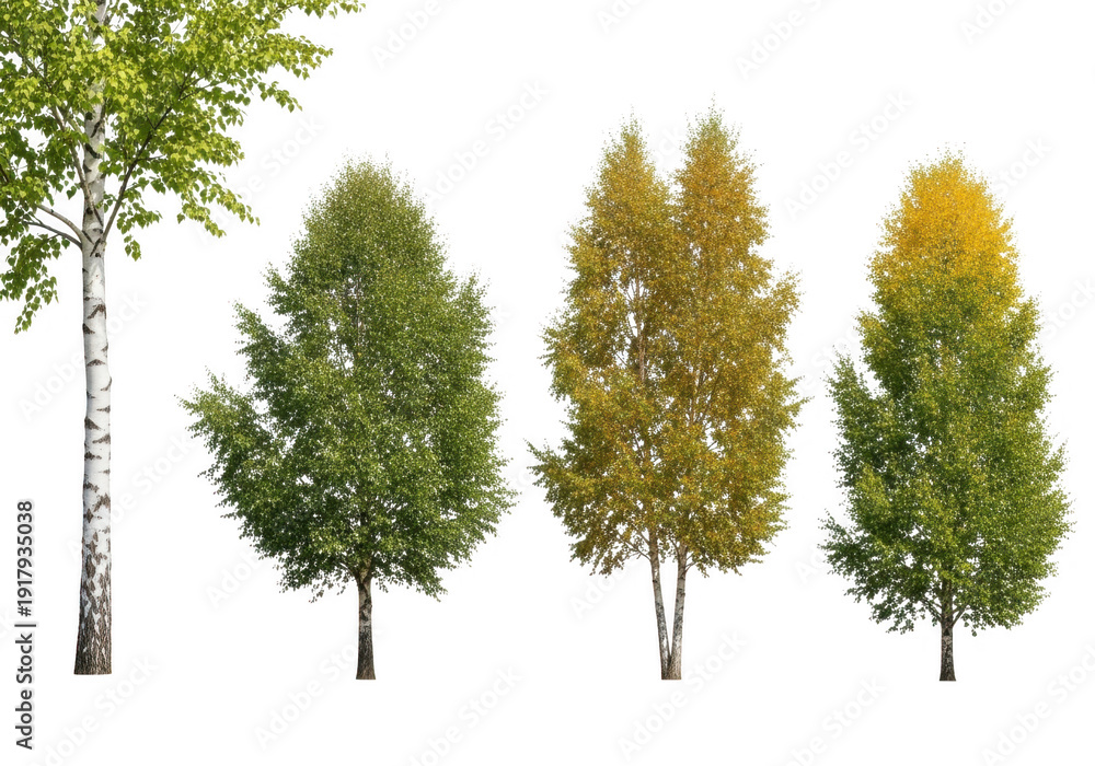 Obraz premium Collection of four different trees in various shades of green and yellow isolated on transparent background