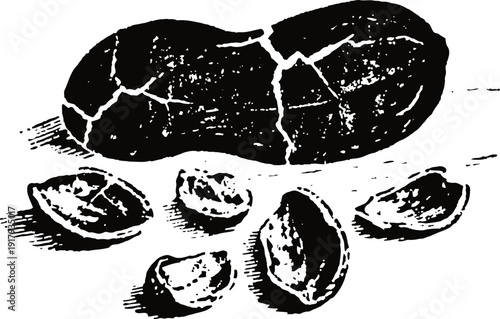 Black and white illustration of a cracked peanut shell with scattered peanut halves