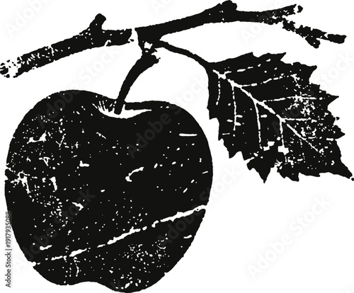Black apple illustration with leaf and branch vintage botanical fruit design in rustic