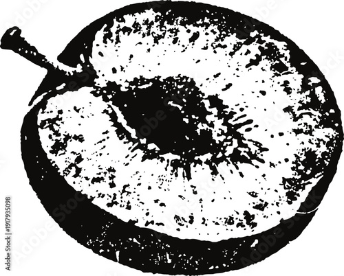 Detailed black and white illustration of a sliced plum with visible pit and texture