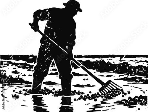 Fisherman harvesting oysters in shallow water with rake tool, traditional shellfish gathering scene