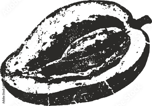 Cacao pod cut open showing seeds inside vintage black and white illustration of cocoa fruit