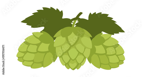Hops Vector Illustration, Green Plant Graphic, Beer Ingredient Design, Brewing Concept