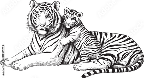 Black and white drawing of a tiger and her cub resting.