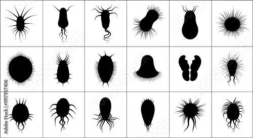 Microorganism silhouette icon collection. Includes bacteria, virus, germ, microbe, amoeba, parasite, and cell symbols. Created in solid black style with monochrome palette.