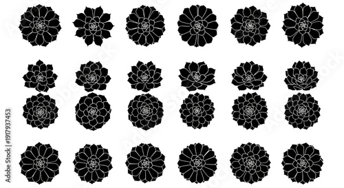 24 succulent plant icon collection. Includes various top-down views of echeveria, sempervivum, and other rosette-forming succulents. Created in flat black silhouette style with a monochrome