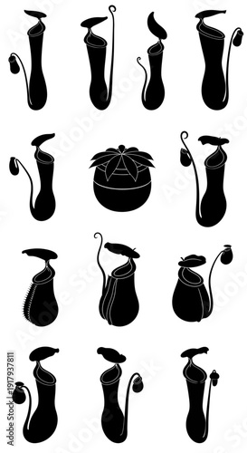 Carnivorous plant pitcher plant icon collection. Includes Nepenthes, Sarracenia, Darlingtonia, Cephalotus, and Heliamphora symbols. Created in silhouette style with black and white palette.