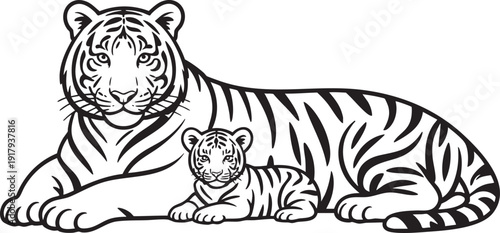 Outlined illustration of a mother tiger lying down next to her cub.