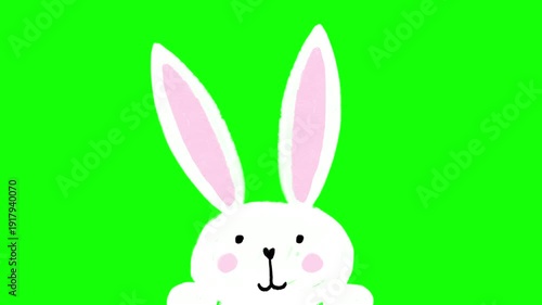 Cute Easter Bunny Hand-Drawn Illustration Cartoon Animation Hopping on Screen on Chroma Key Greenscreen Background - 4K Horizontal Seamless Loop Video