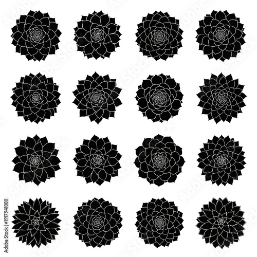 Set of 16 succulent plant rosettes in black and white vector illustration. Includes various echeveria and sempervivum shapes with detailed leaf patterns. Created in flat graphic style with a