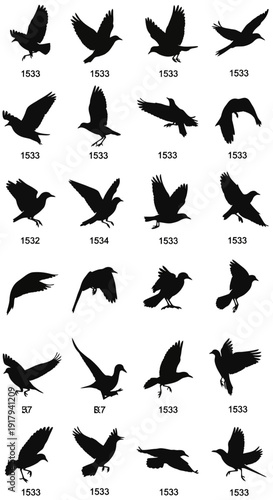 28 black bird silhouettes in various flight poses. Includes doves, pigeons, and other flying birds in different angles and wing positions. Created in a minimalist vector style with a solid black