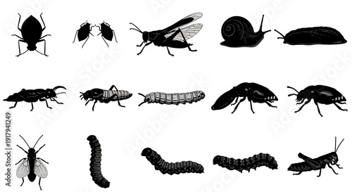 Insect and bug silhouette icon collection. Includes beetle, ant, grasshopper, snail, slug, caterpillar, and fly symbols. Created in solid black vector style with a monochrome palette.