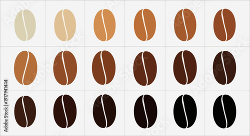 Coffee bean roast level gradient vector illustration. This graphic displays 18 individual coffee beans, transitioning from light beige to dark black, representing various roasting stages.