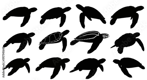 Sea turtle silhouette collection. Includes 12 different swimming and crawling turtle shapes, with variations in shell patterns and flipper positions. Created in a minimalist black and white