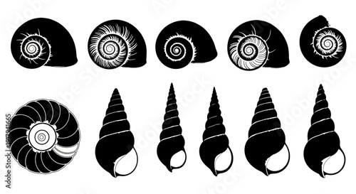 Collection of 11 different black and white spiral seashell and snail shell silhouettes. Includes various shapes of marine gastropod shells, some with detailed inner spirals. Created in a flat