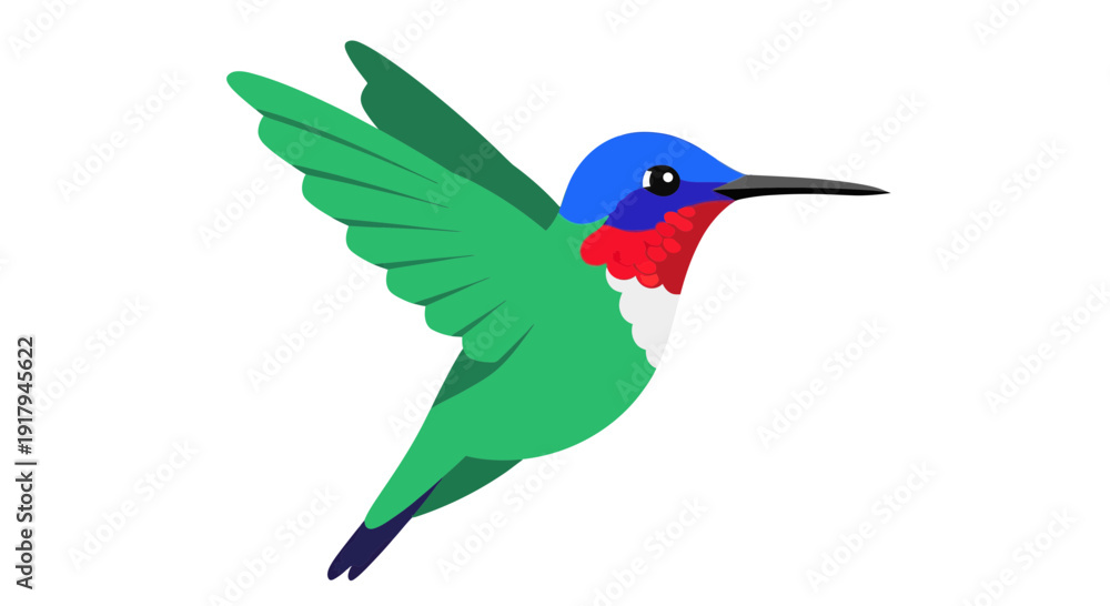Naklejka premium Hummingbird Vector Illustration, Flat Design, Nature, Wildlife, Isolated Image for Design