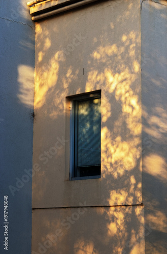 dappled sunlight on window