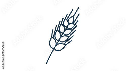 A simple, dark-blue line drawing of a wheat stalk on a white background